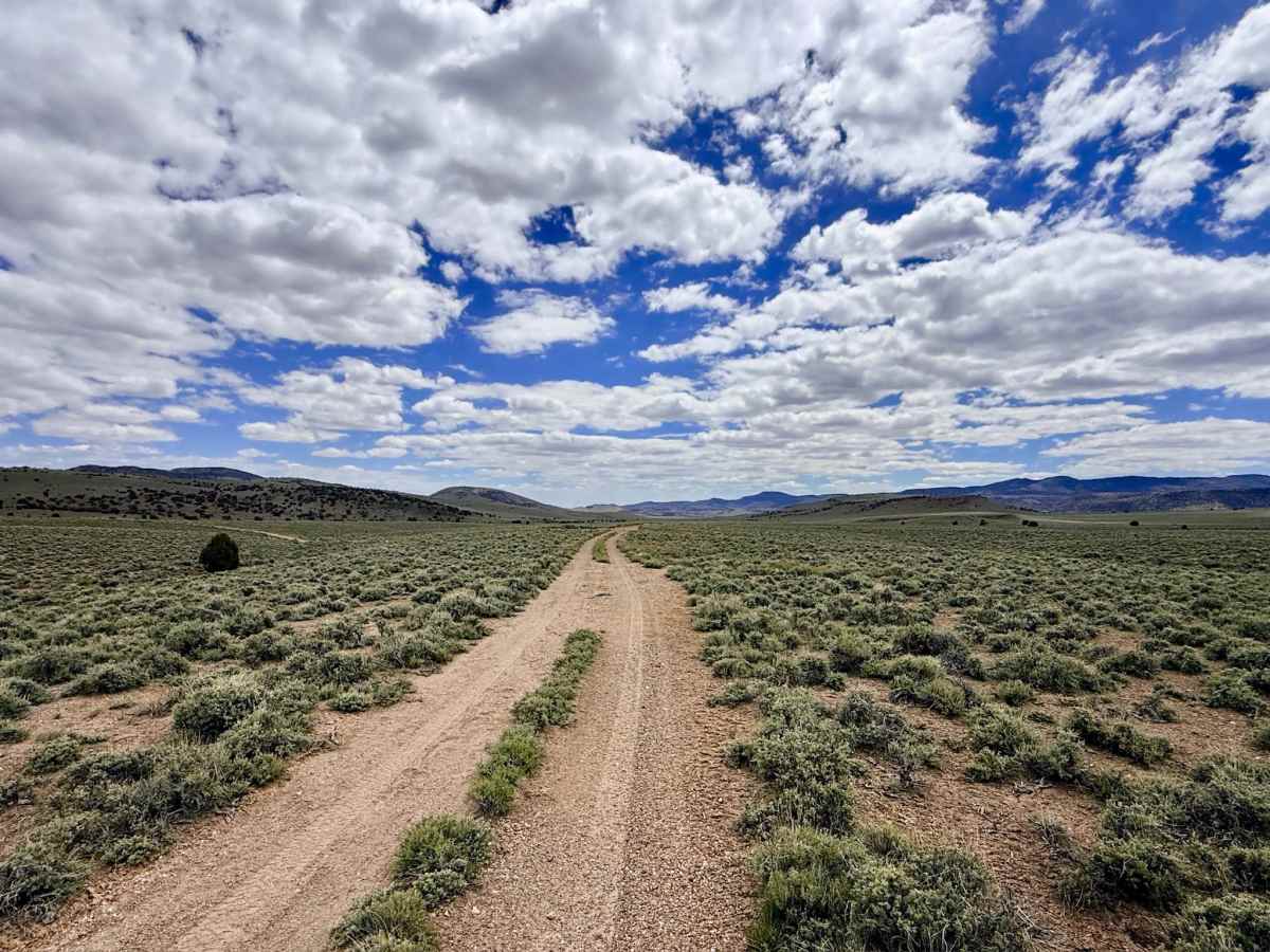 Murphys Camp Spur - FS 44235A trail photo