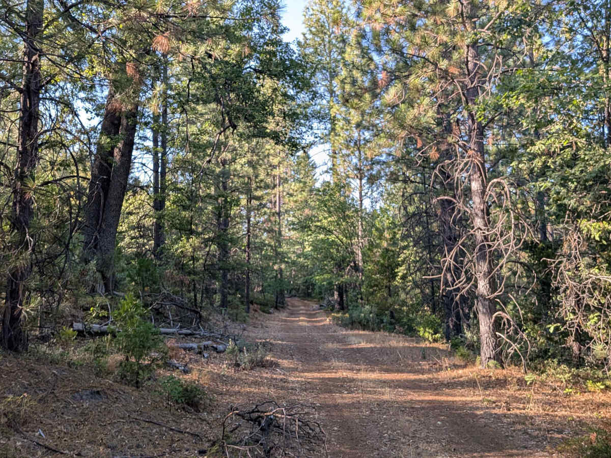 FS 1S22 trail photo