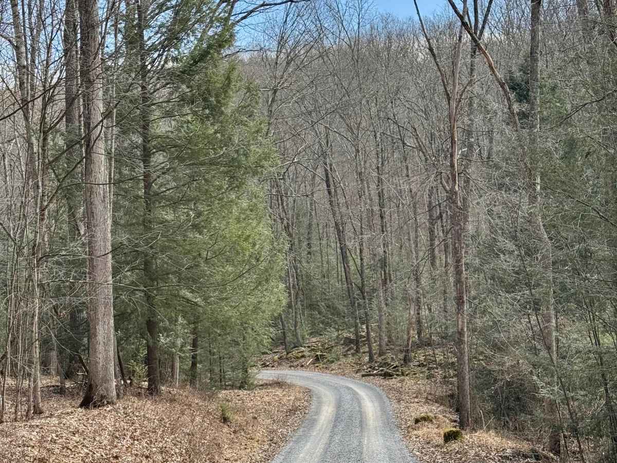 Cole Run Road photo 2