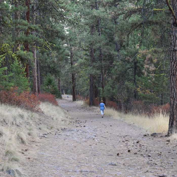 Near Vista Point Loop (Blue Mountain)