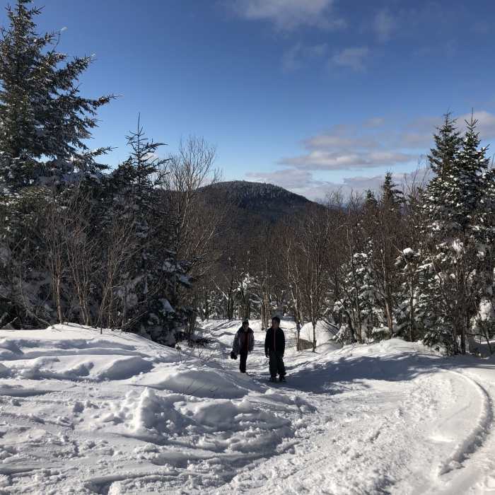 Near Spruceton Trail Shelter Out-and-Back
