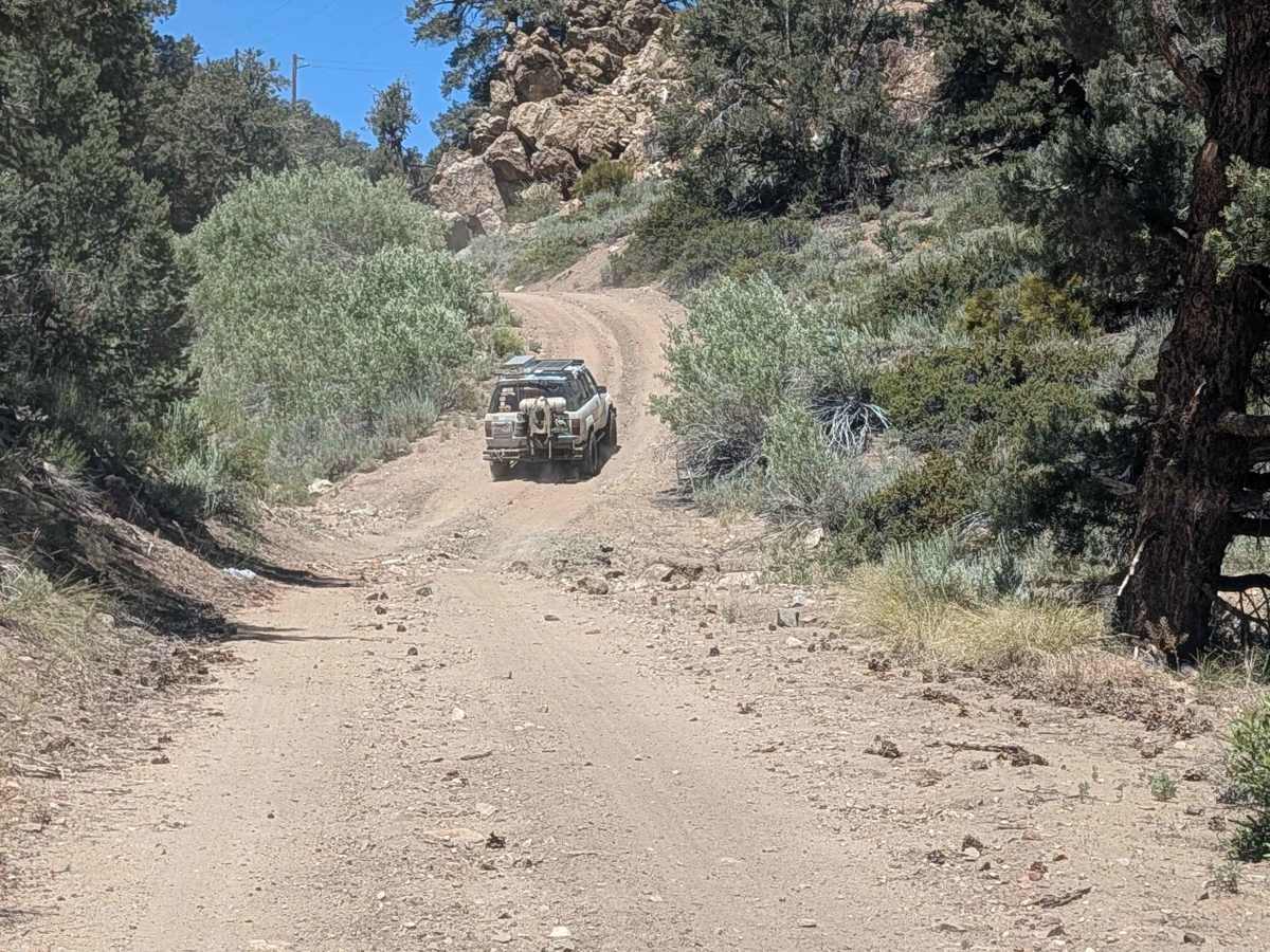 Deer Springs Road trail photo