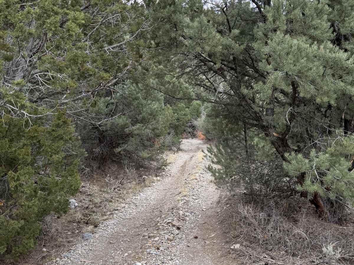 Miner's Canyon Road photo 5