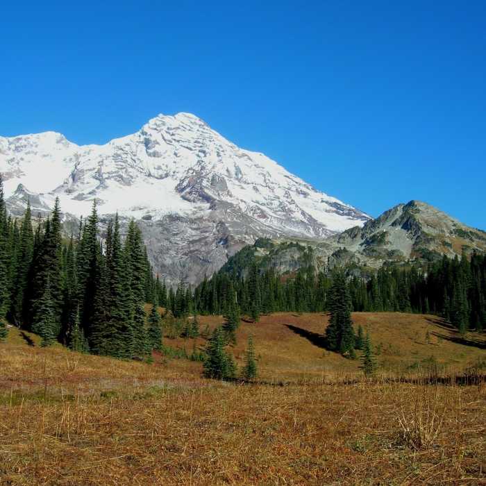 Near Indian Henry's Hunting Ground via Kautz Creek