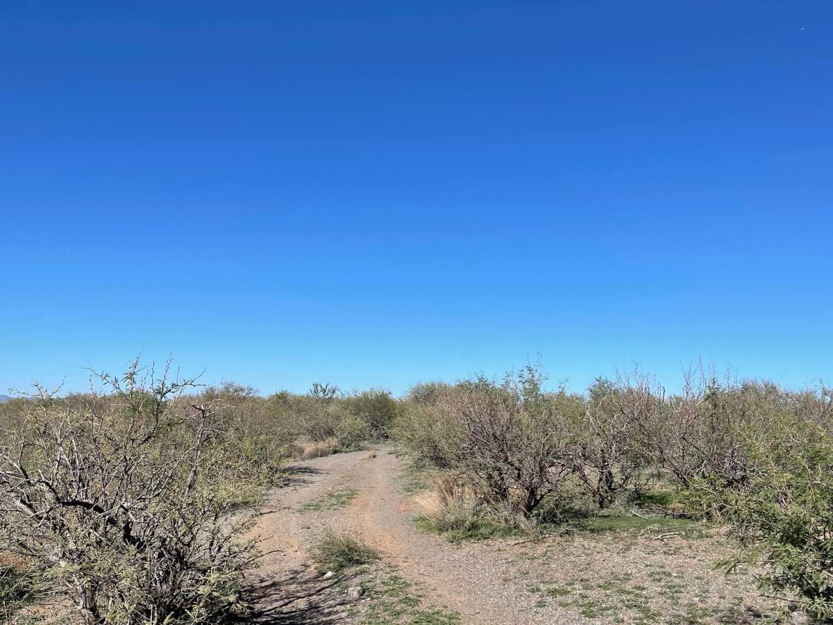 Interstate 17 Overlook  trail photo