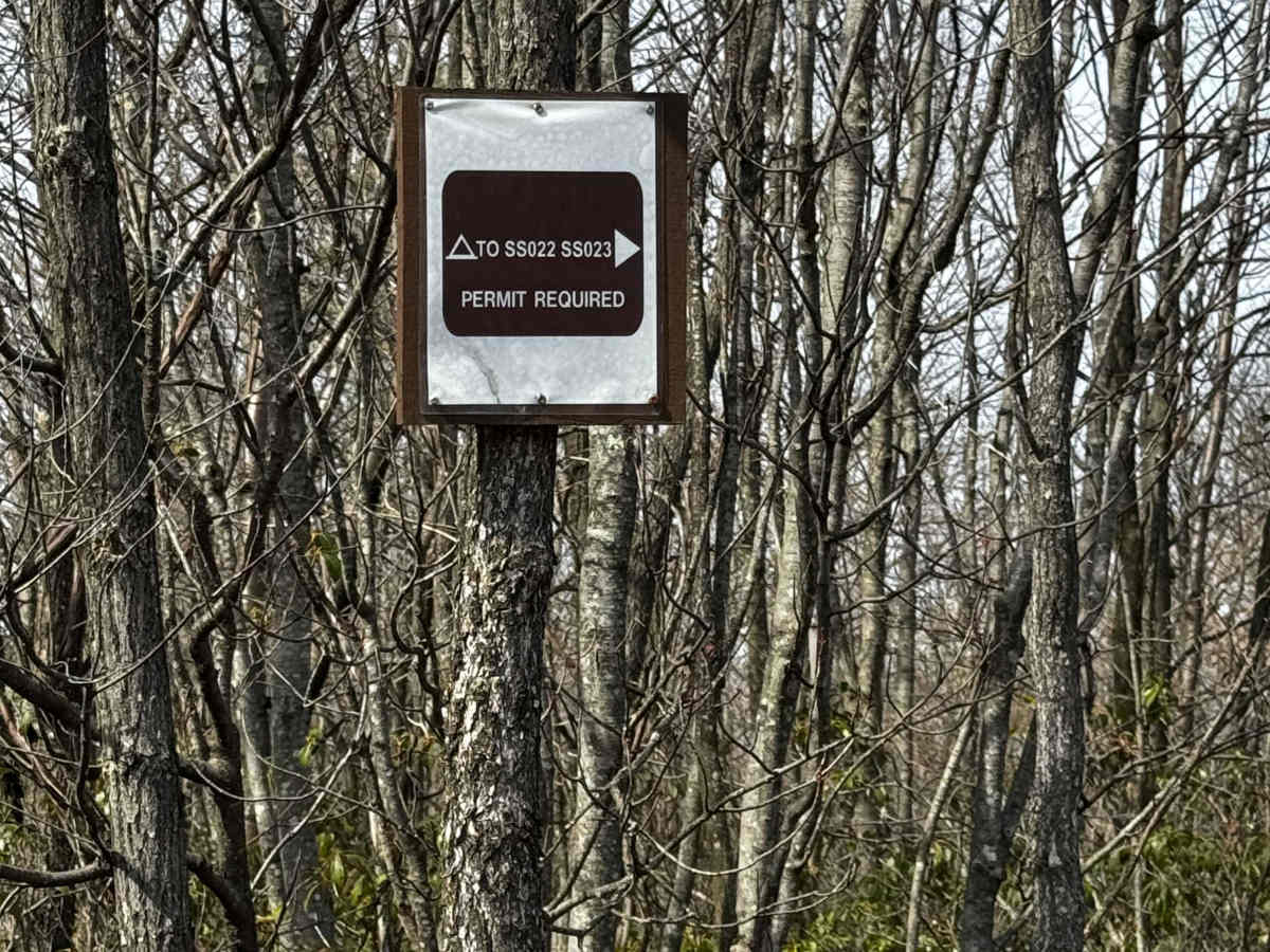 Nedcock Trail photo 2