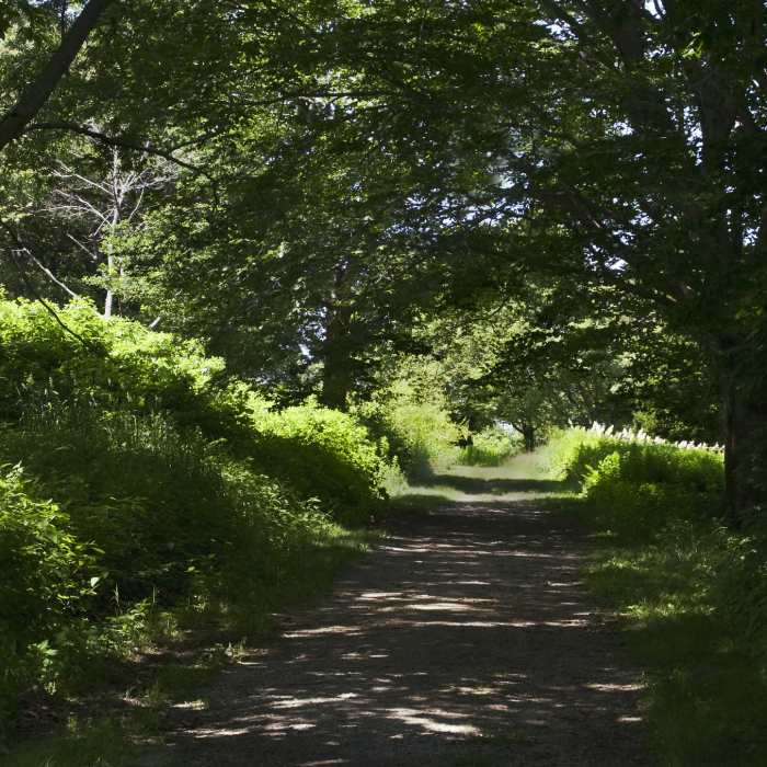 Near World's End Loop