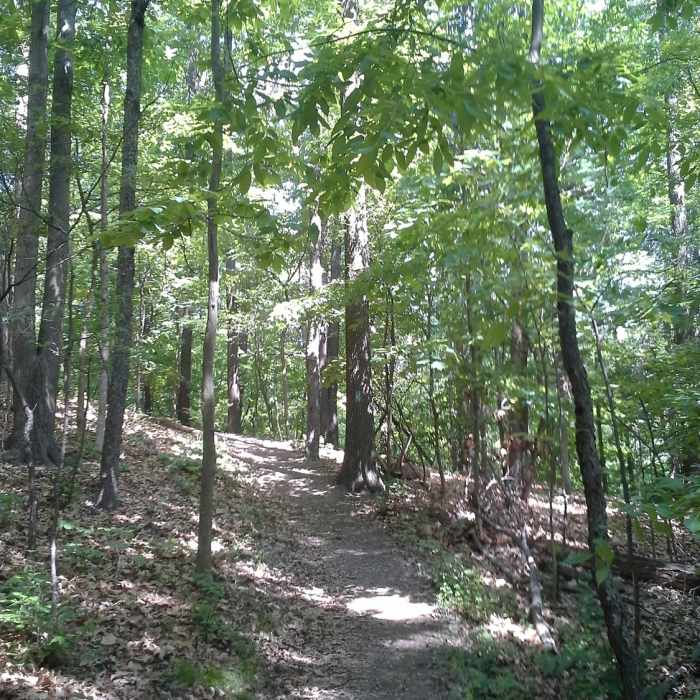 Near Coosa Backcountry