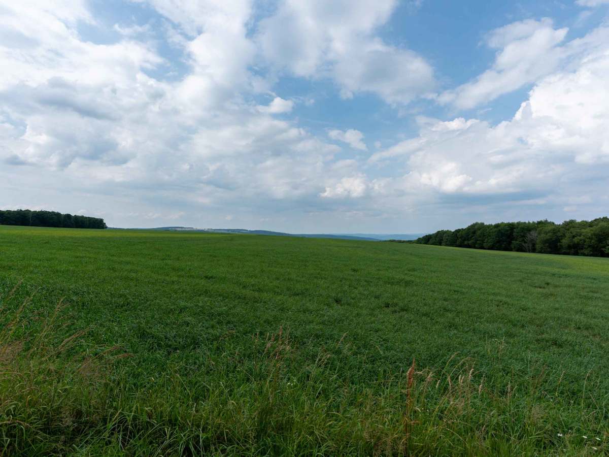 Blank Hill Road photo 3