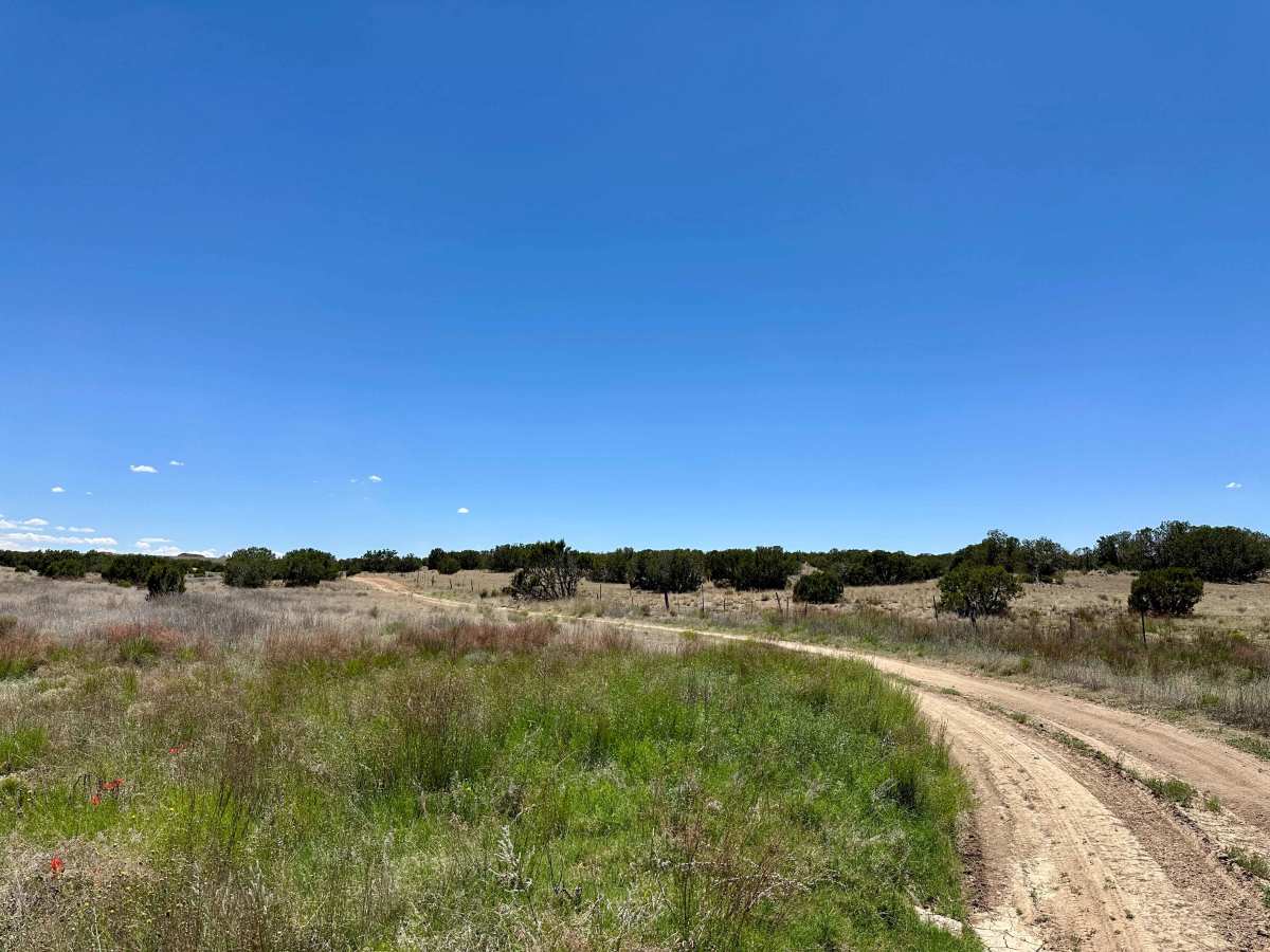 Dispersed Camping Loop photo 4
