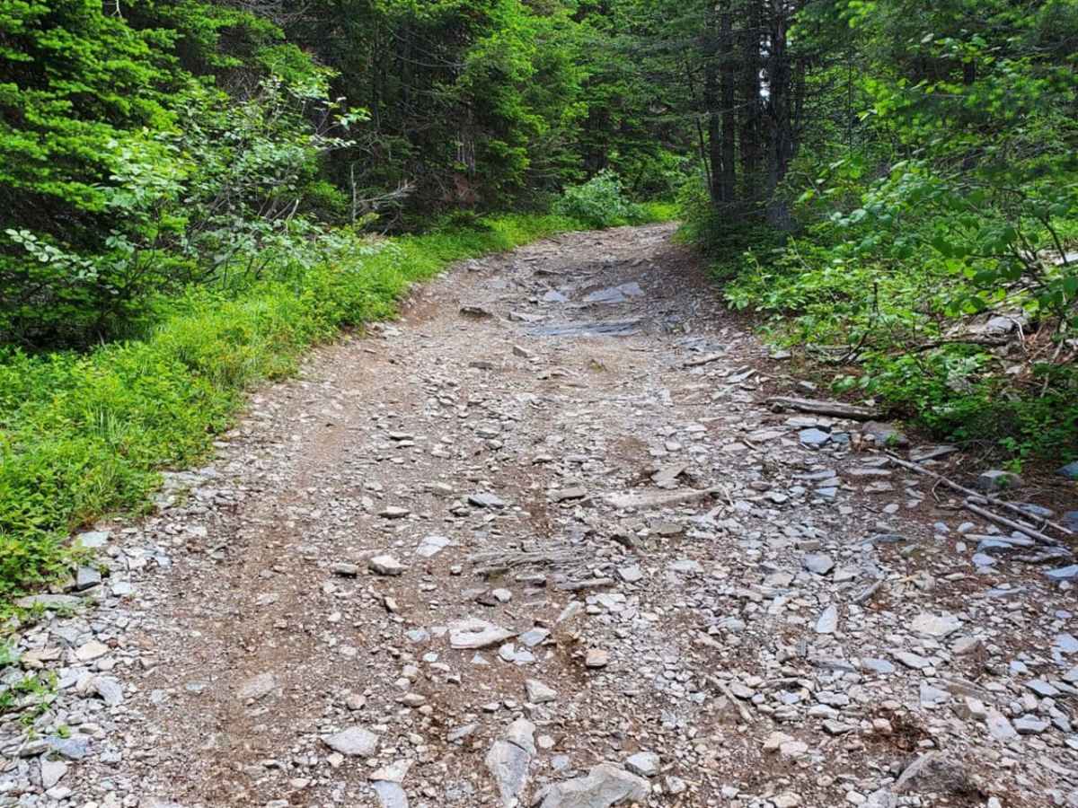 Blacktail Wild Bill OHV photo 3