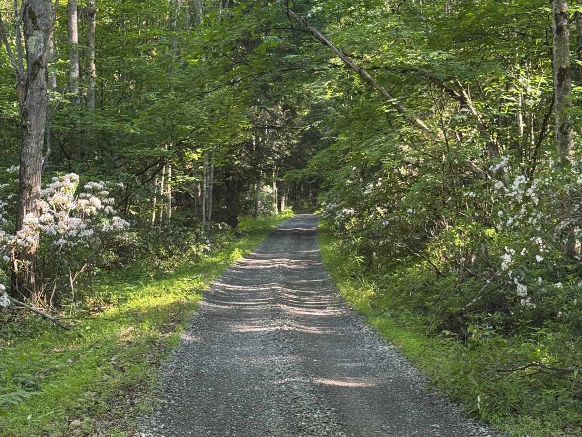 Furnace Trail photo 6