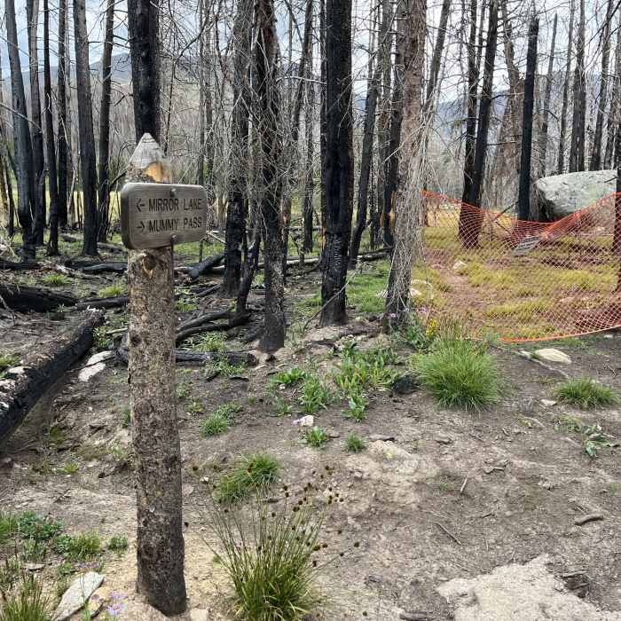 Near Mummy Pass Trail