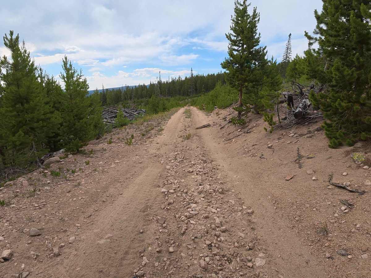 Sawmill Road - FS 241 photo 3