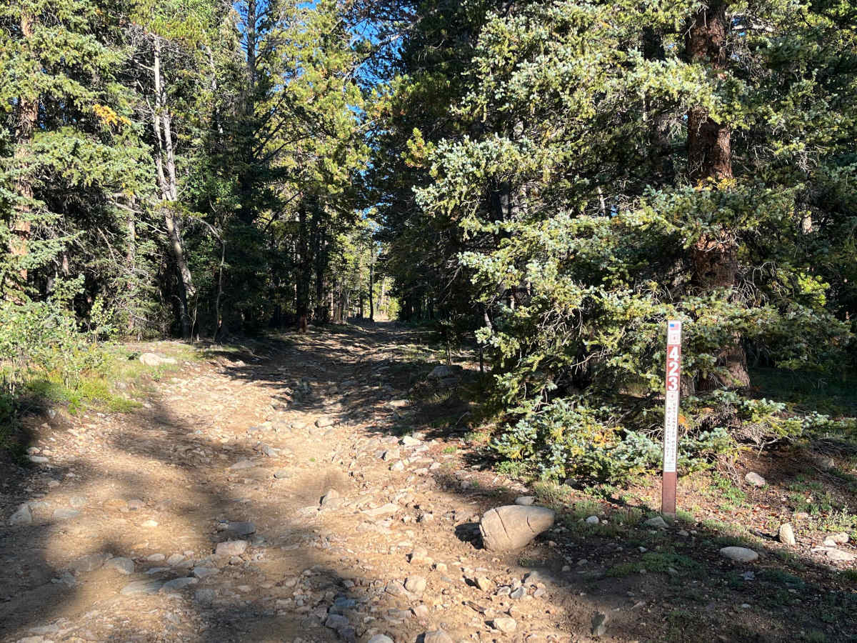 Thompson Park Road trail photo
