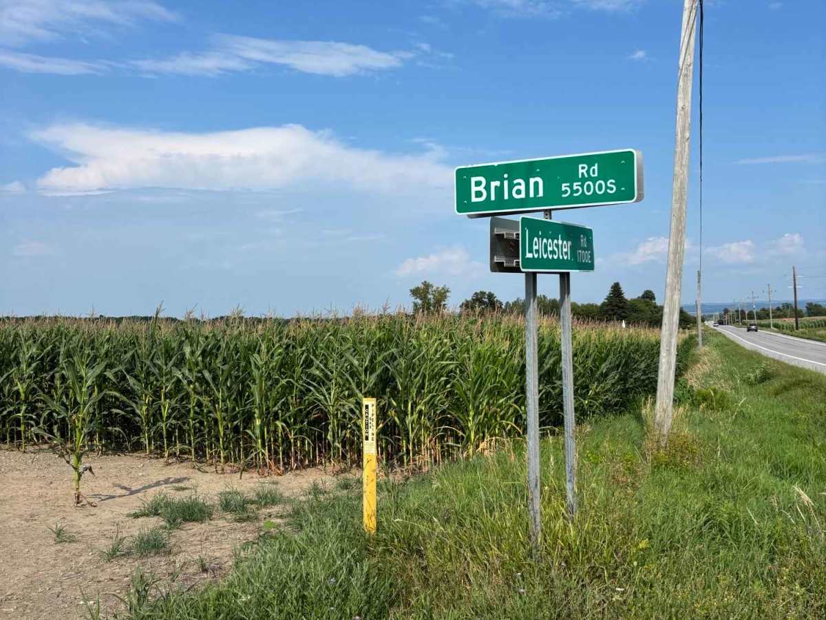 Brian Road photo 2