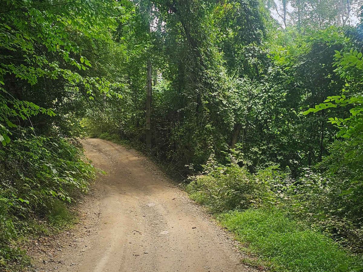 Trail 13 photo 6