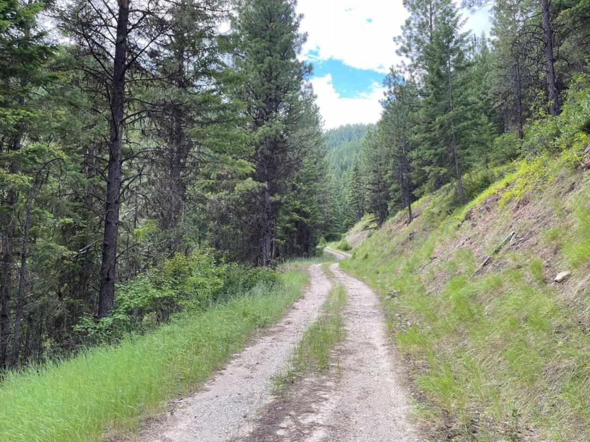 Rock Creek Tarkio photo 6