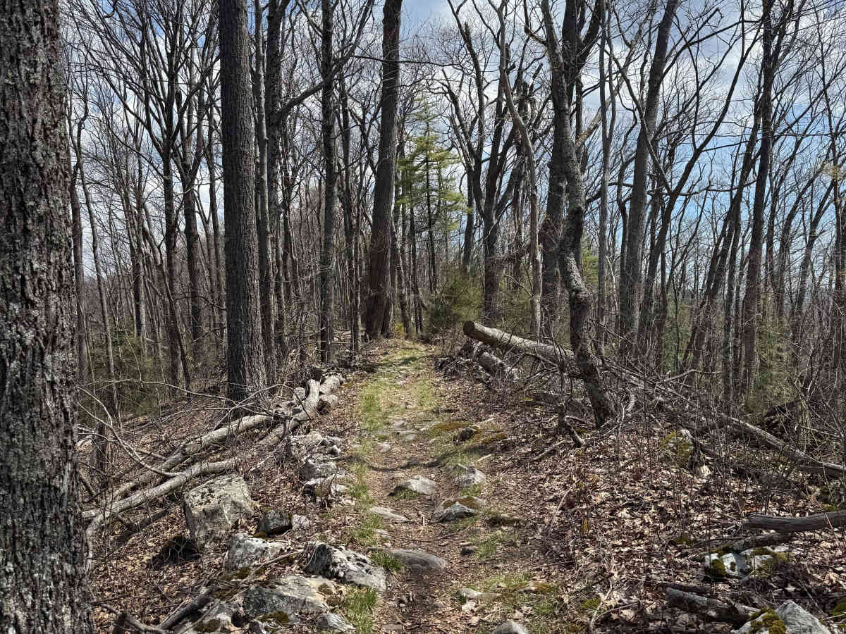 Iron Mountain Spur B photo 6