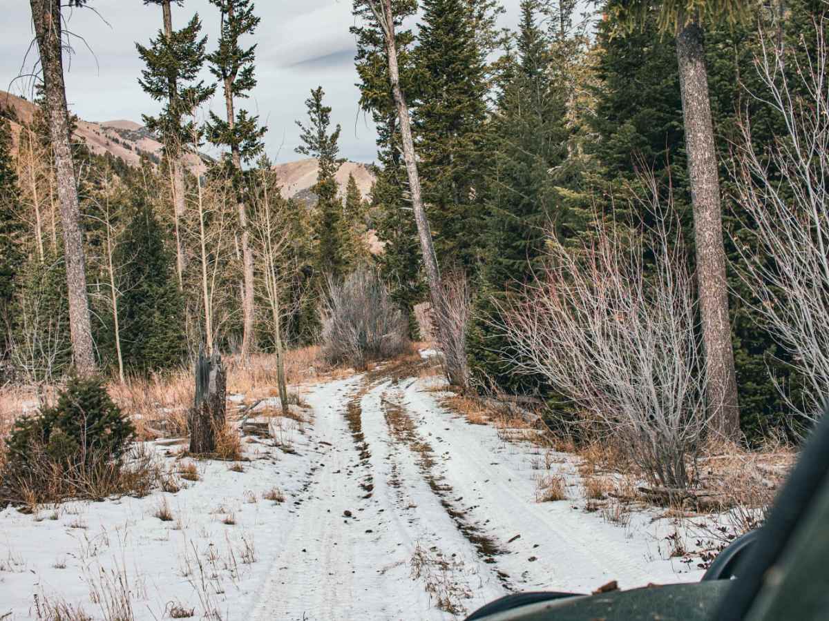 Pole Canyon Road photo 2