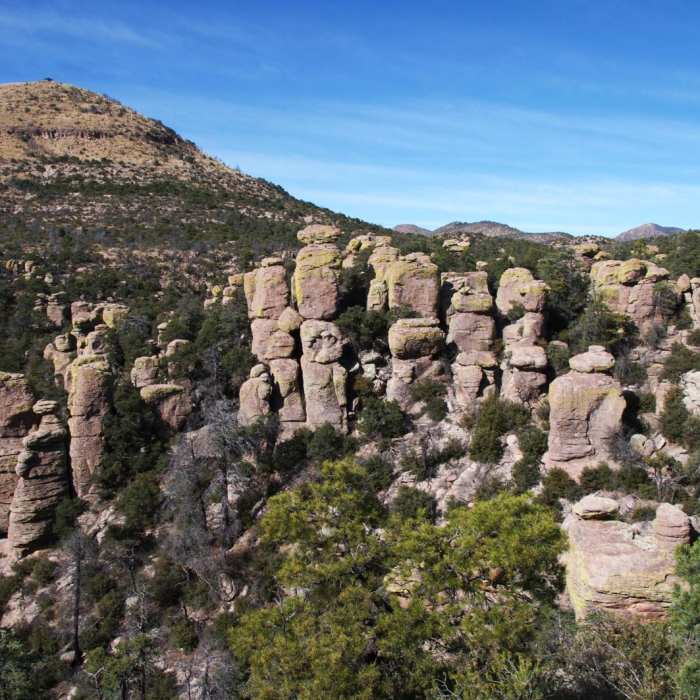 Near Chiricahua Canyon Big Loop