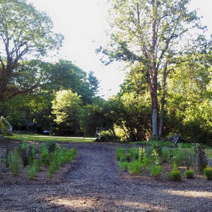 Near Wawapek Preserve