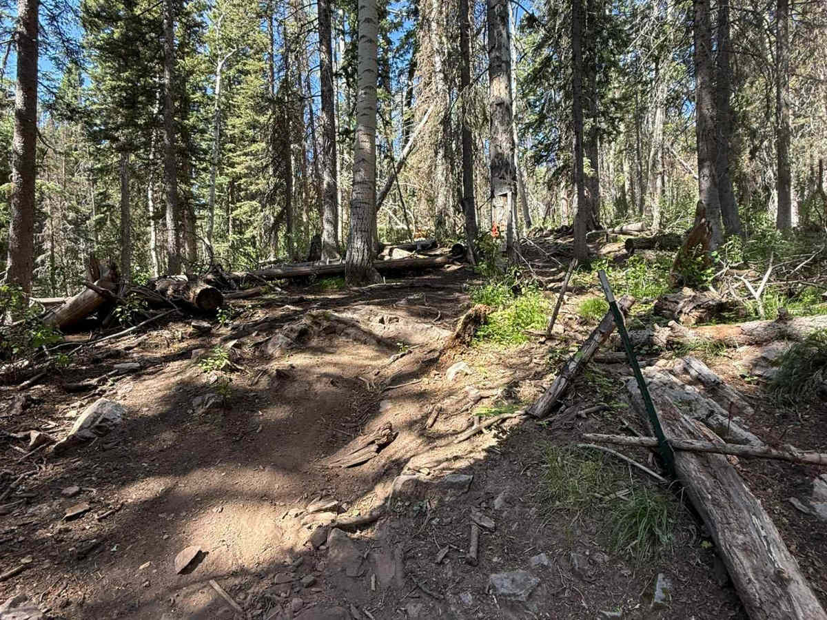 Aspen Flat Trail No. 018 photo 6