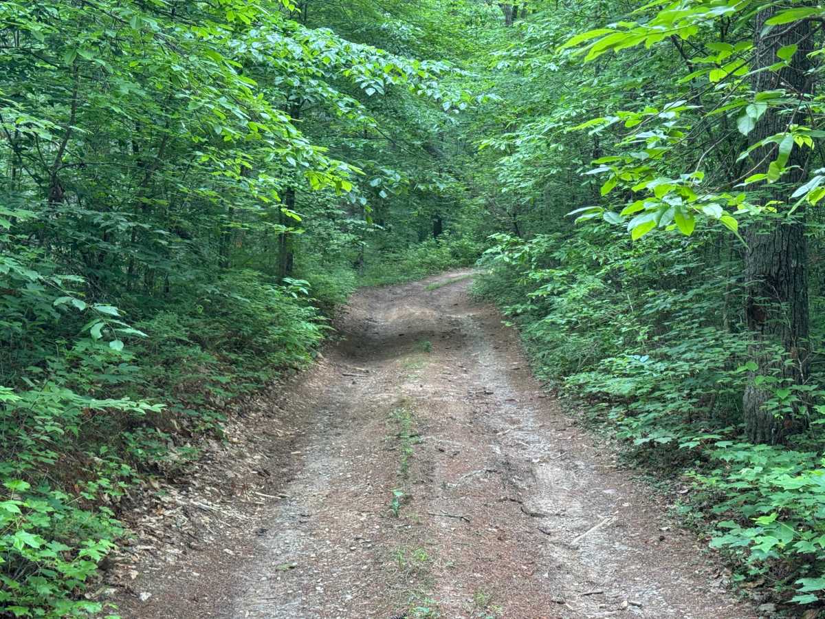 Butler Ridge - FS 1061 photo 6
