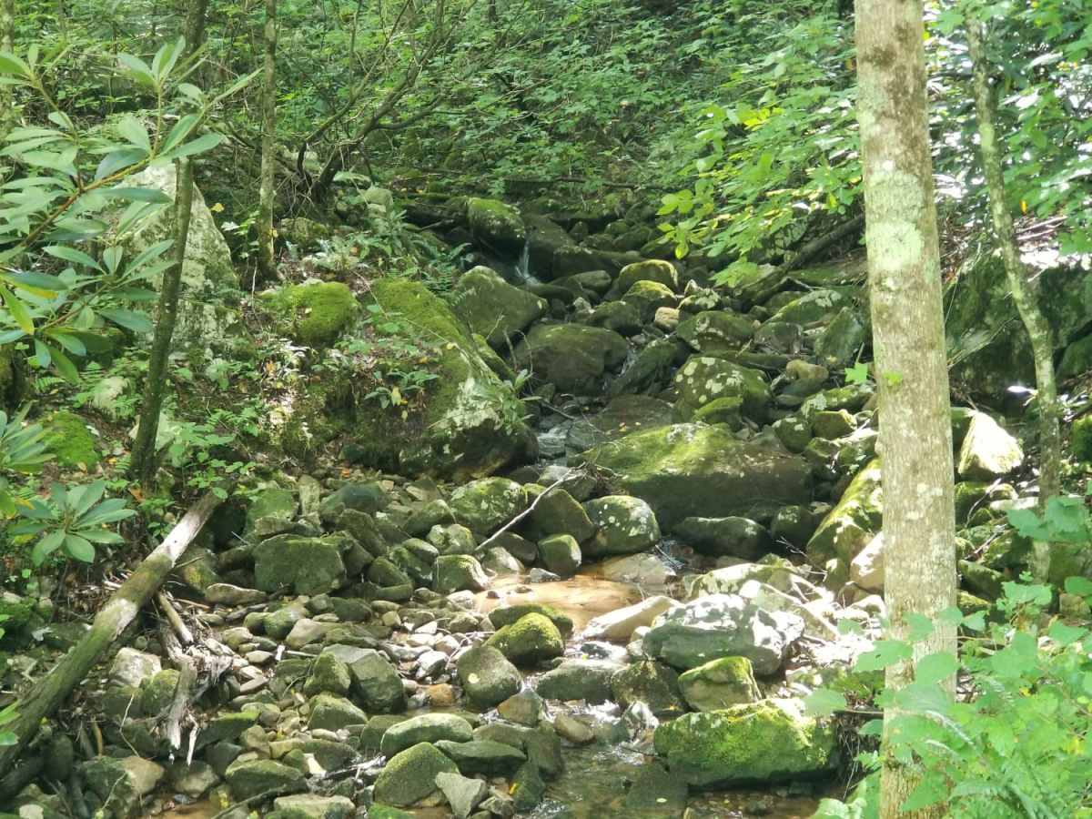 Jacobs Creek photo 3