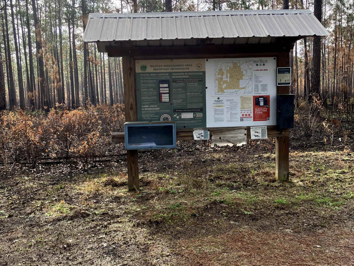 Boggy Hollow Road - FS 374 photo 5