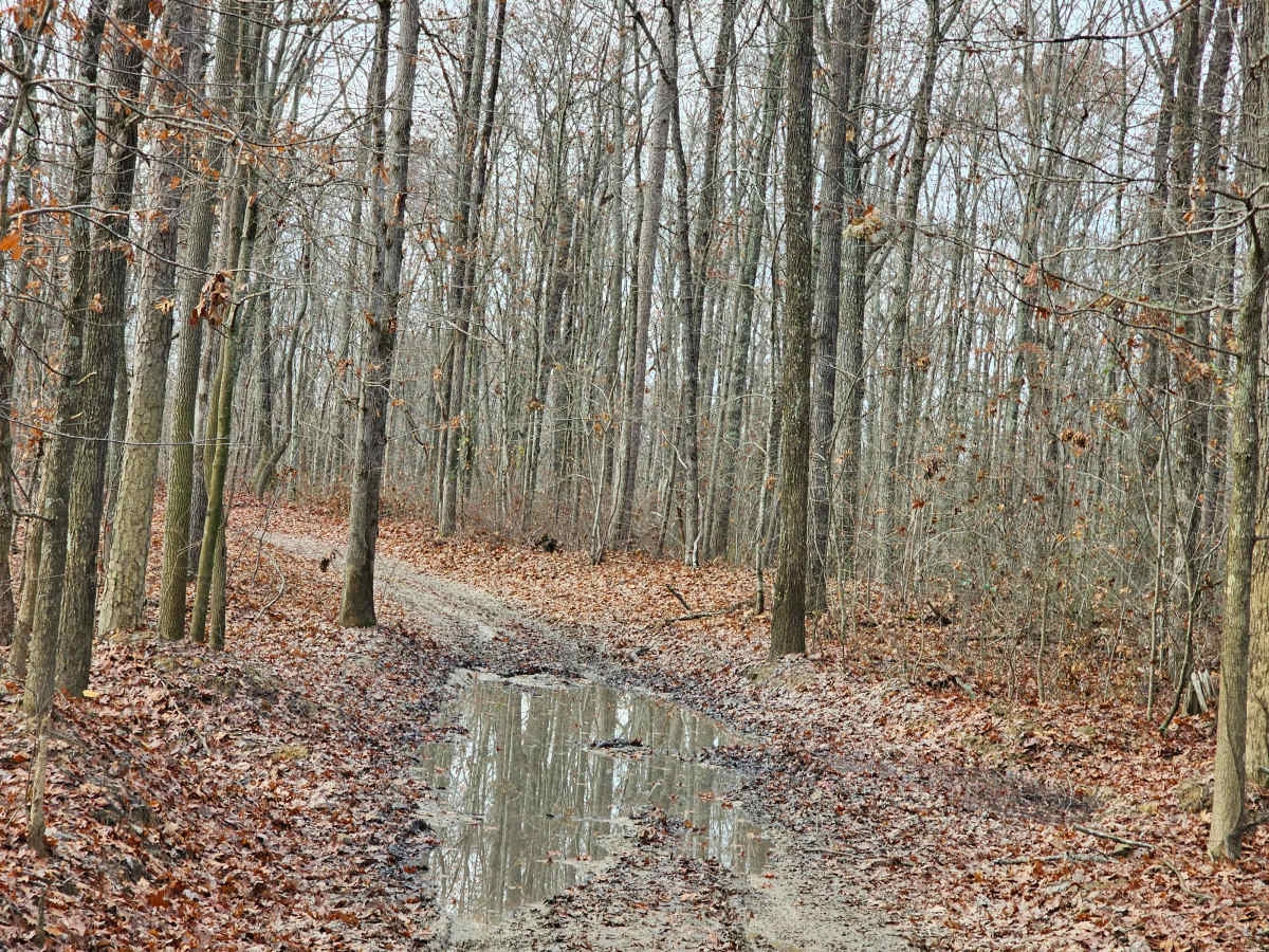 Sulfer Branch Road trail photo