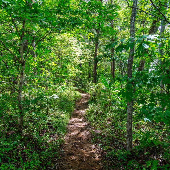 Near Baker's Bluff Trail