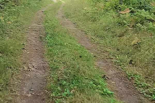 Old Stage Truck Road