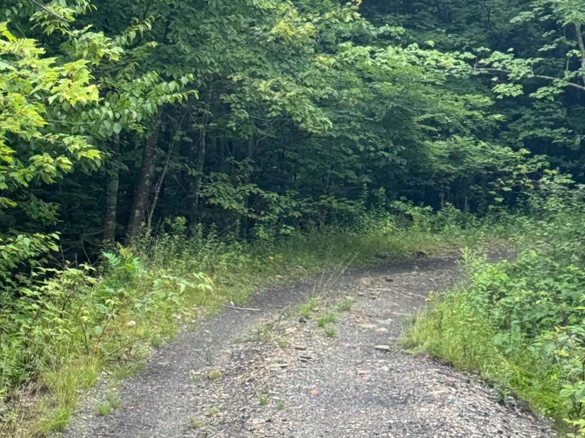 Trail 71 photo 3
