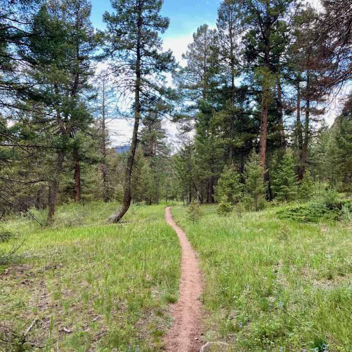 Near Colorado Trail Segment 3