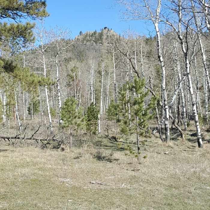 A view of the fire lookout from the Custer Peak Trail. Near Custer Peak