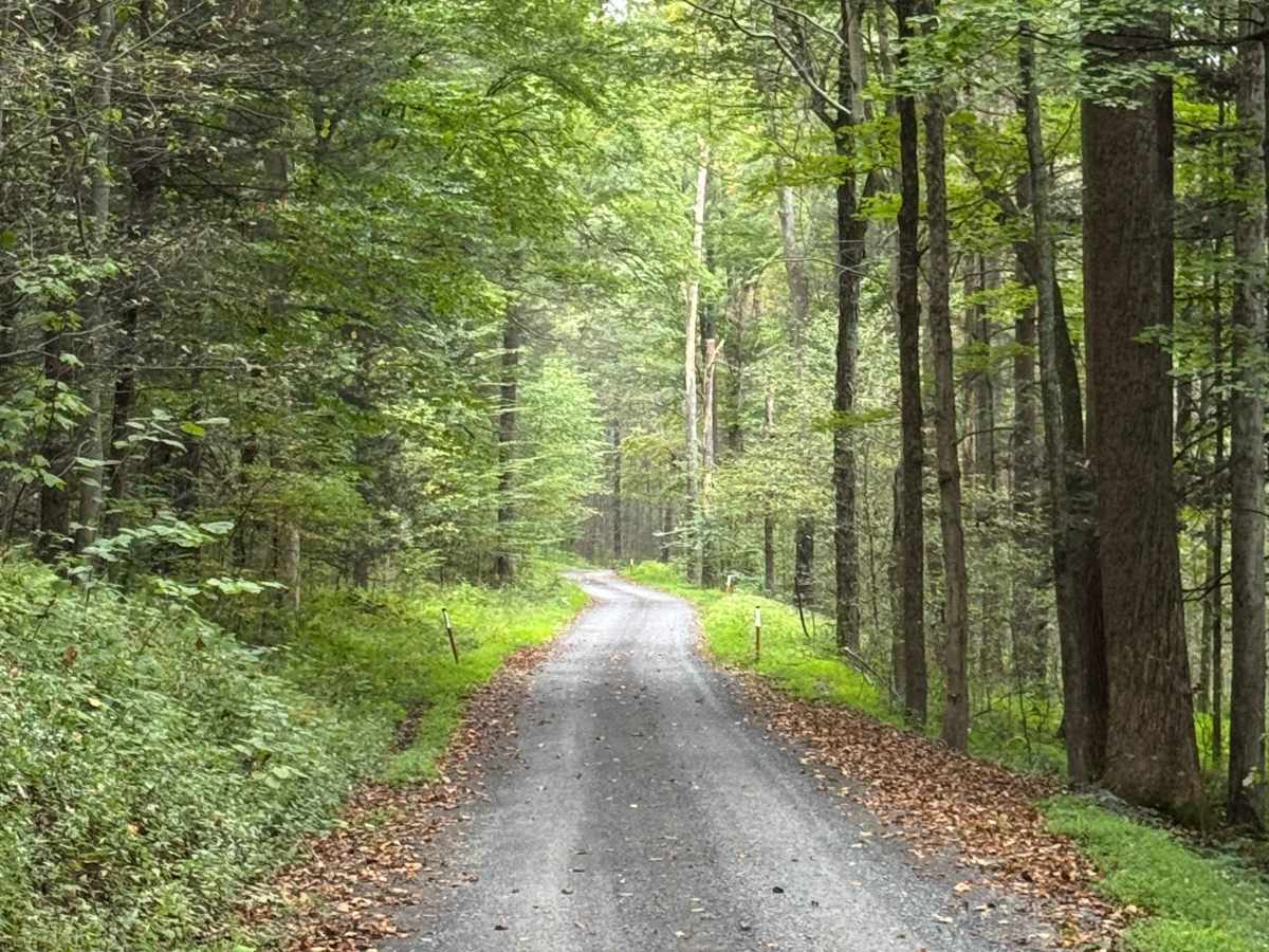 Long Run Road photo 3
