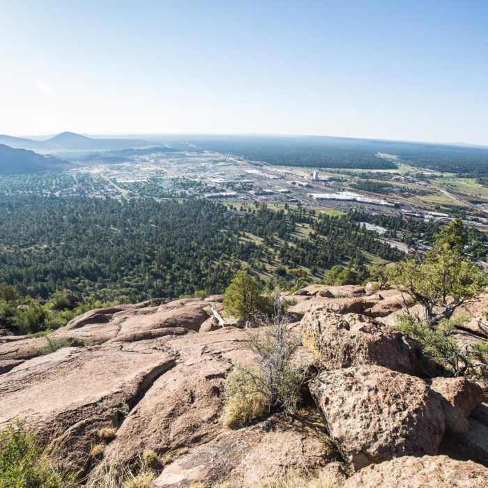 Near Elden Lookout Trail