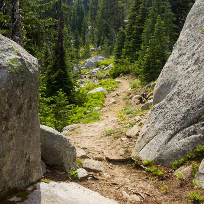 Near Elkhorn Crest Trail: Lost Lake + Summit Lake