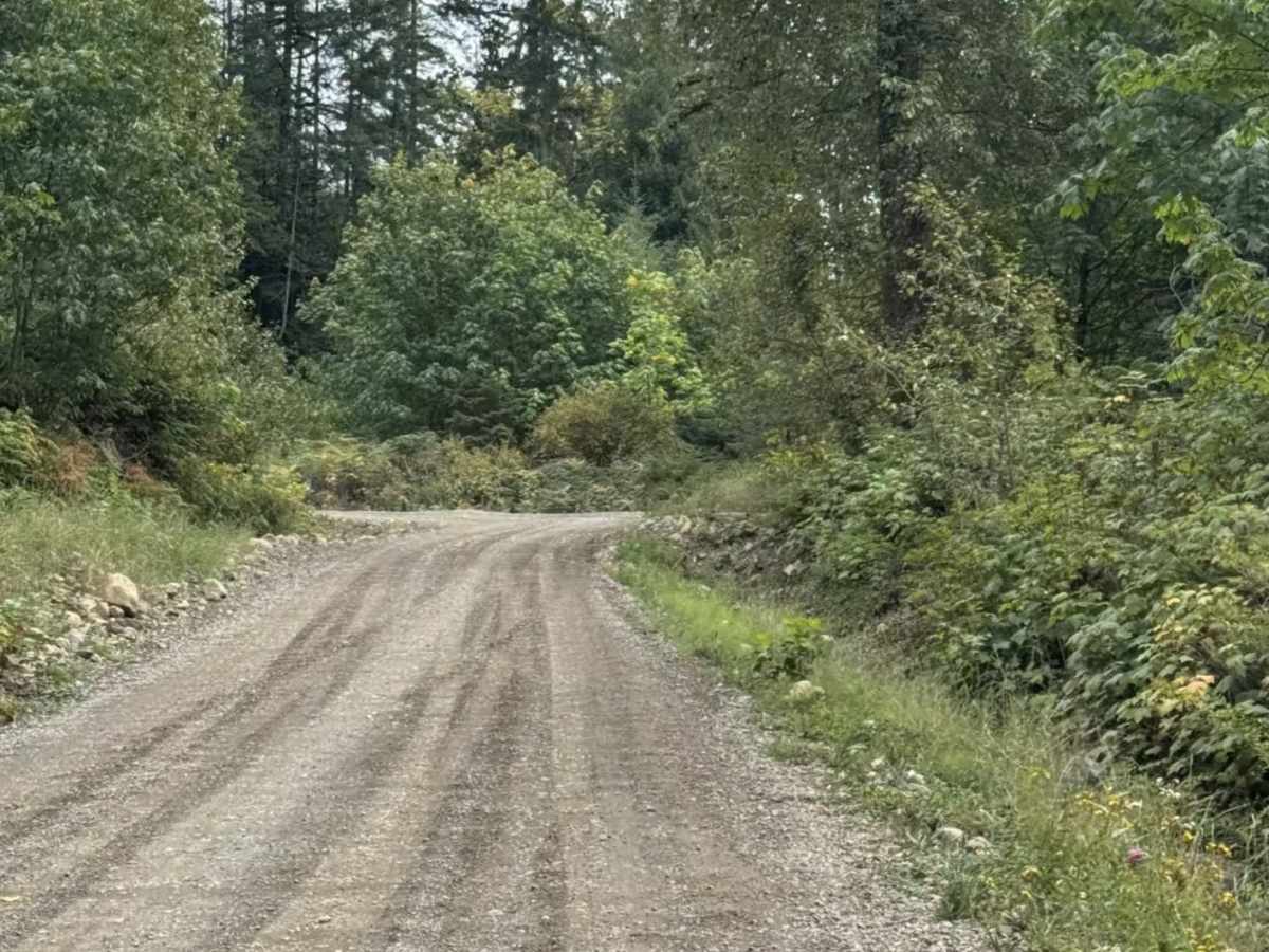 Weaver Lake - 1500 photo 5