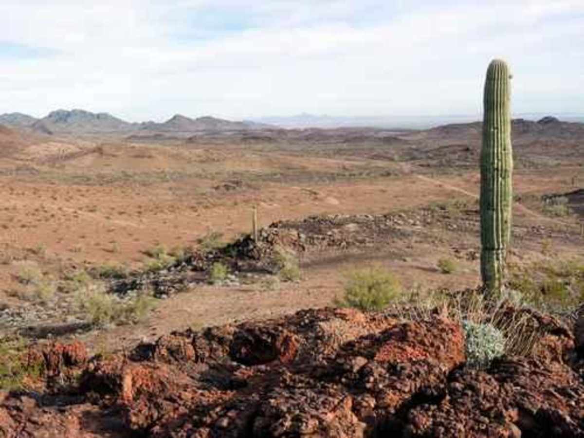 Four Peaks Loop photo 5