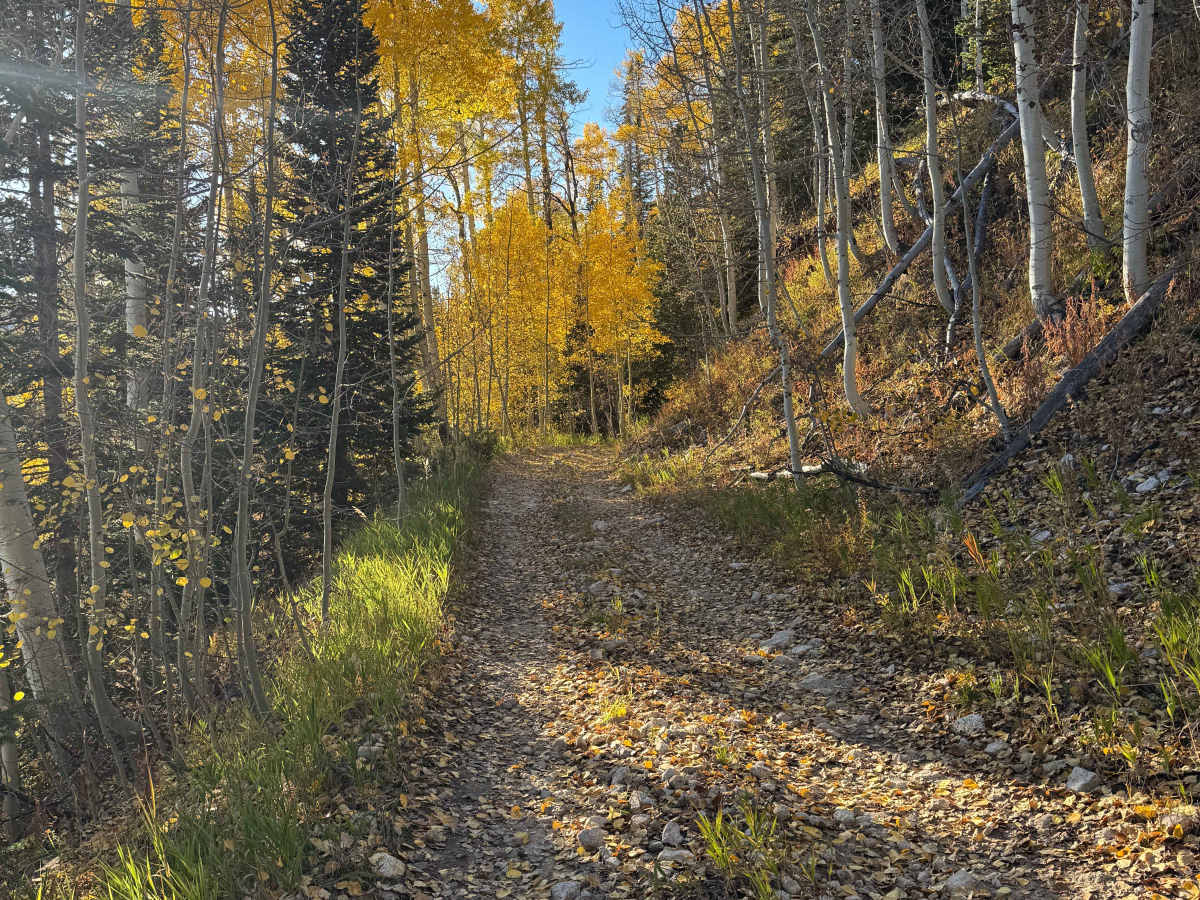 Middle Deep Creek Road photo 4