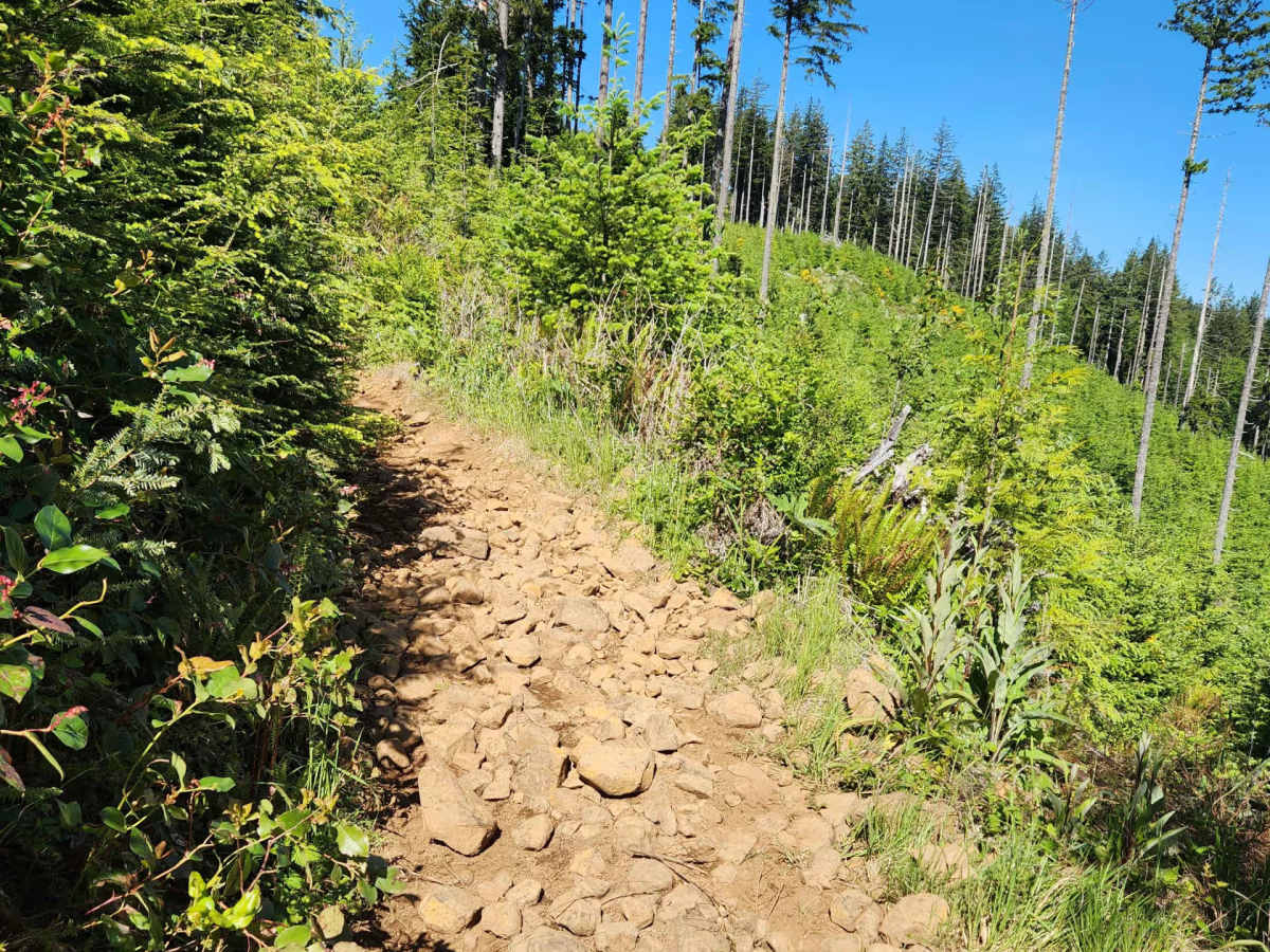 North Rim Trail #2 photo 2