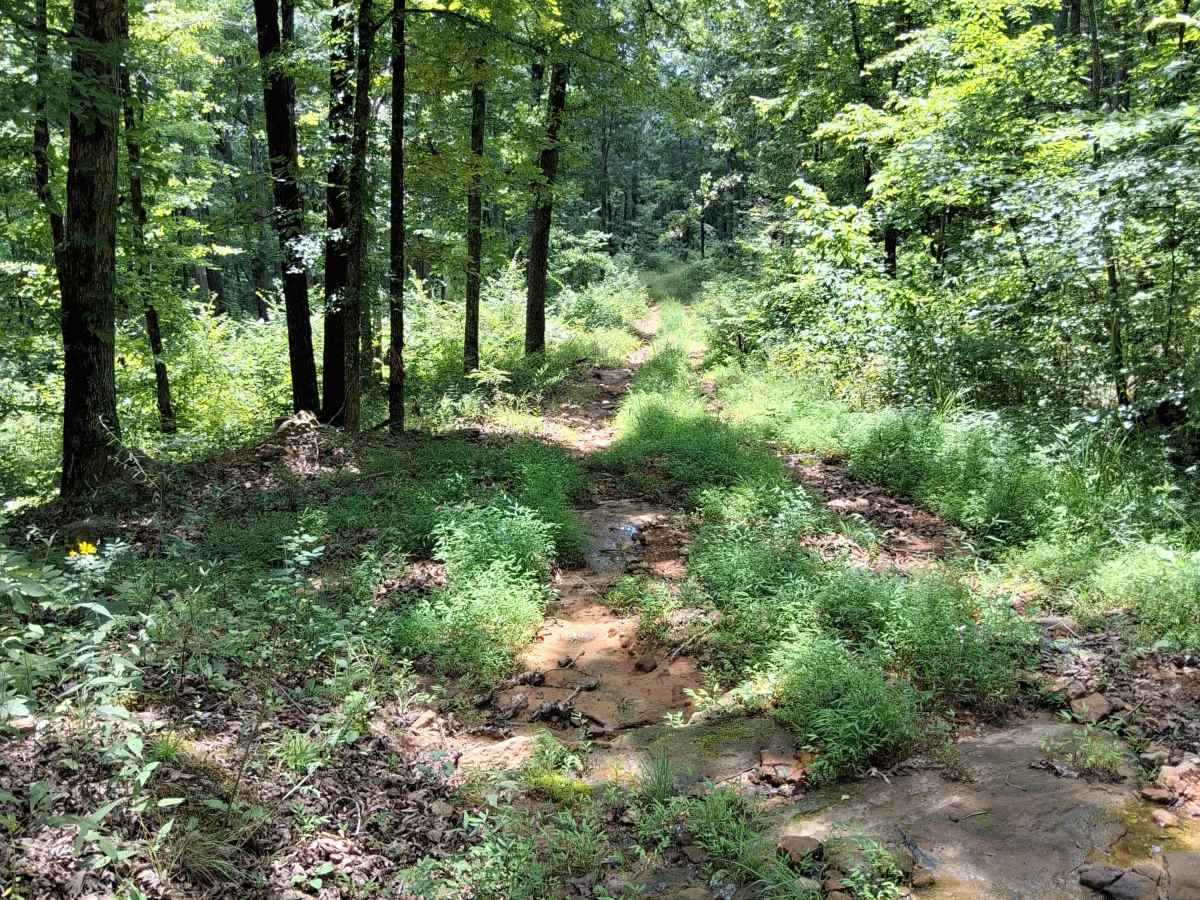 Stefoder Road photo 3