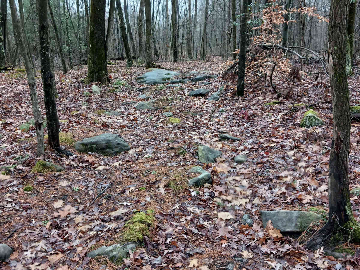 OHV 24 - Rock Run Recreation Area photo 3