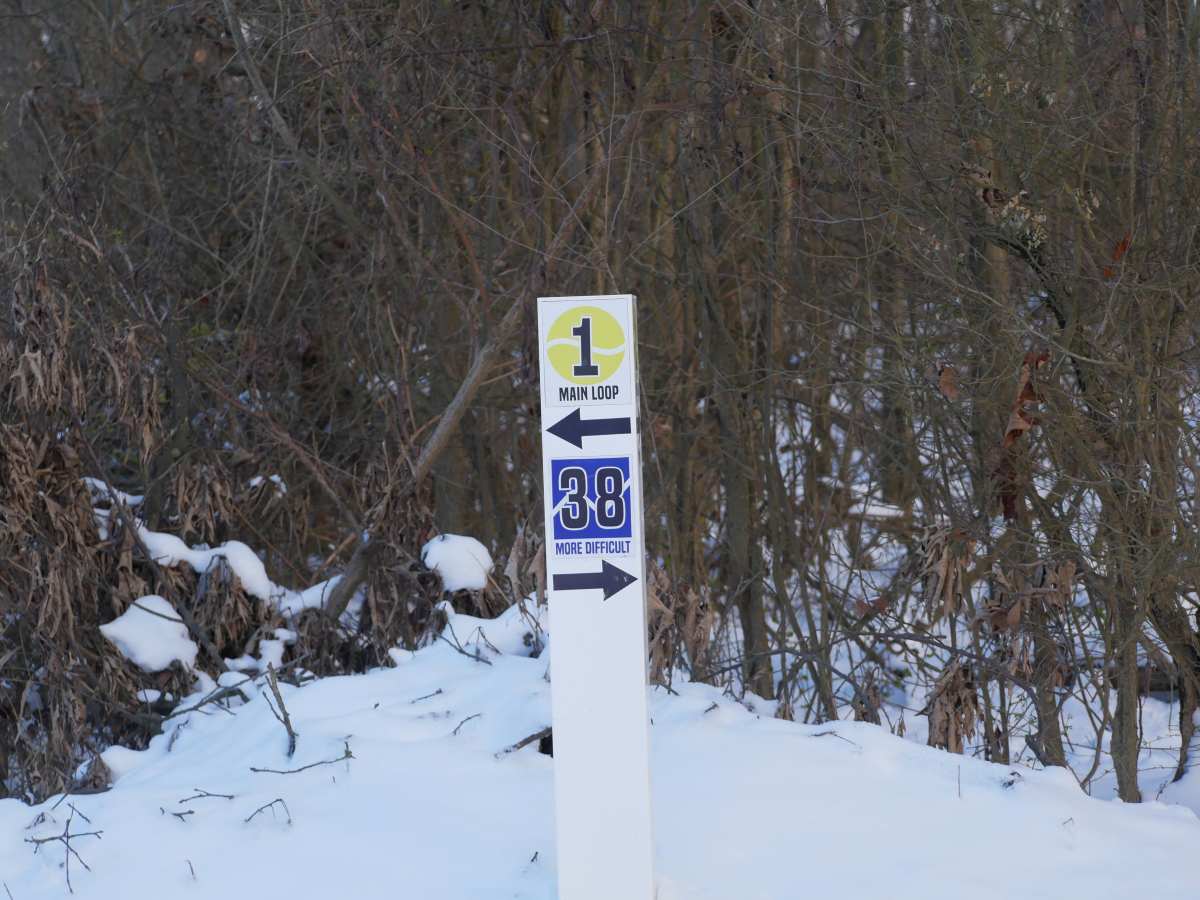 Trail 38 trail photo