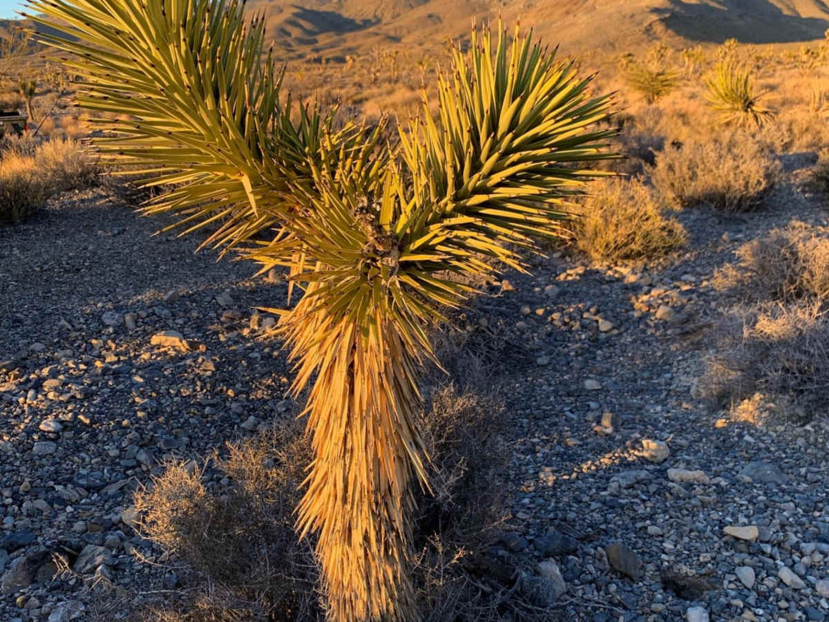 Sand Wash Road photo 4