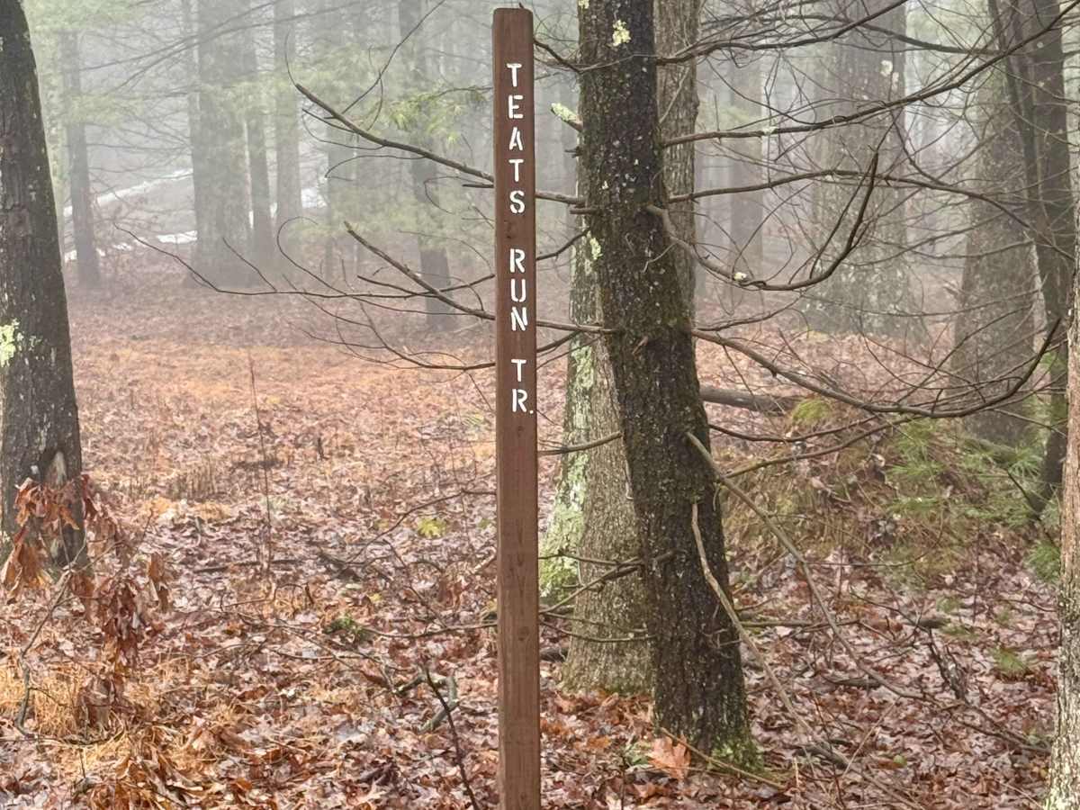 Teats Run Trail trail photo