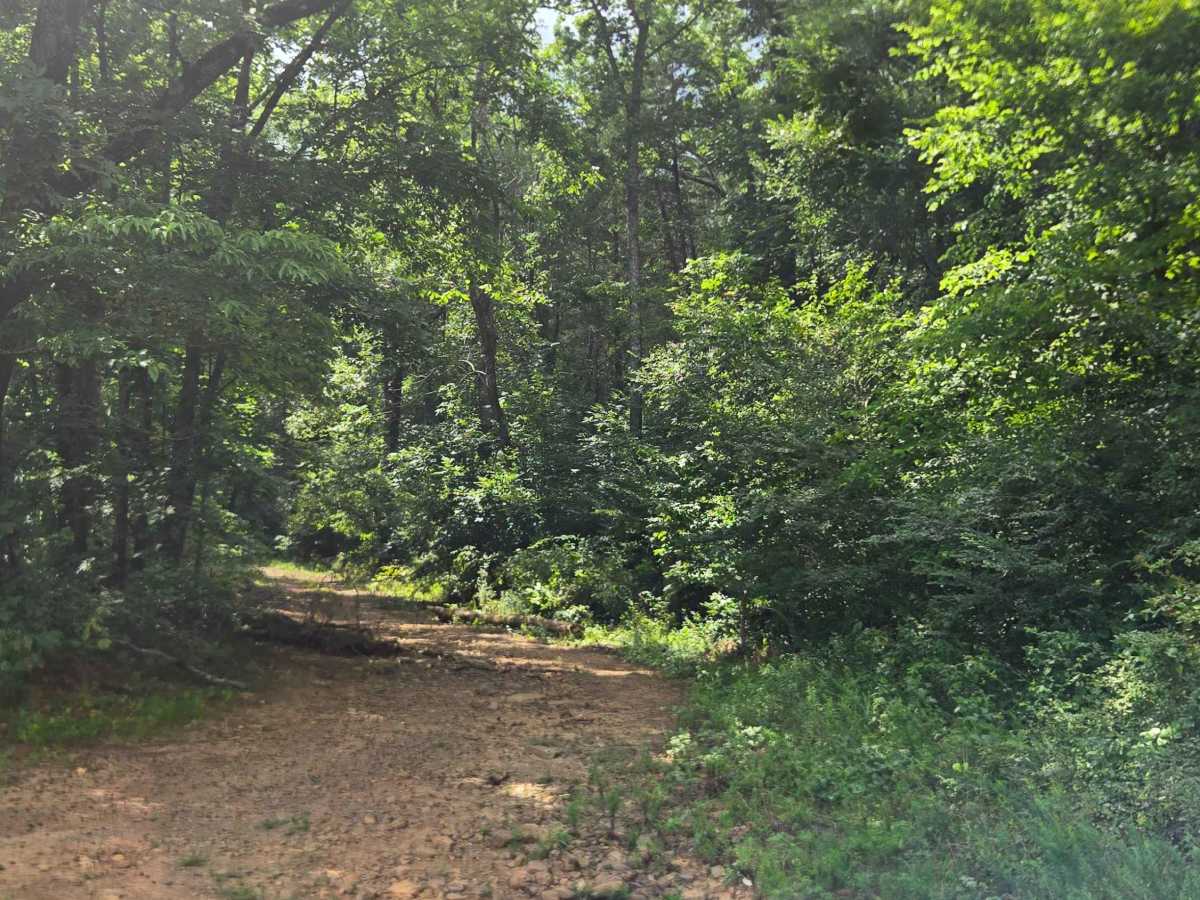 Low Gap Cemetery Road trail photo