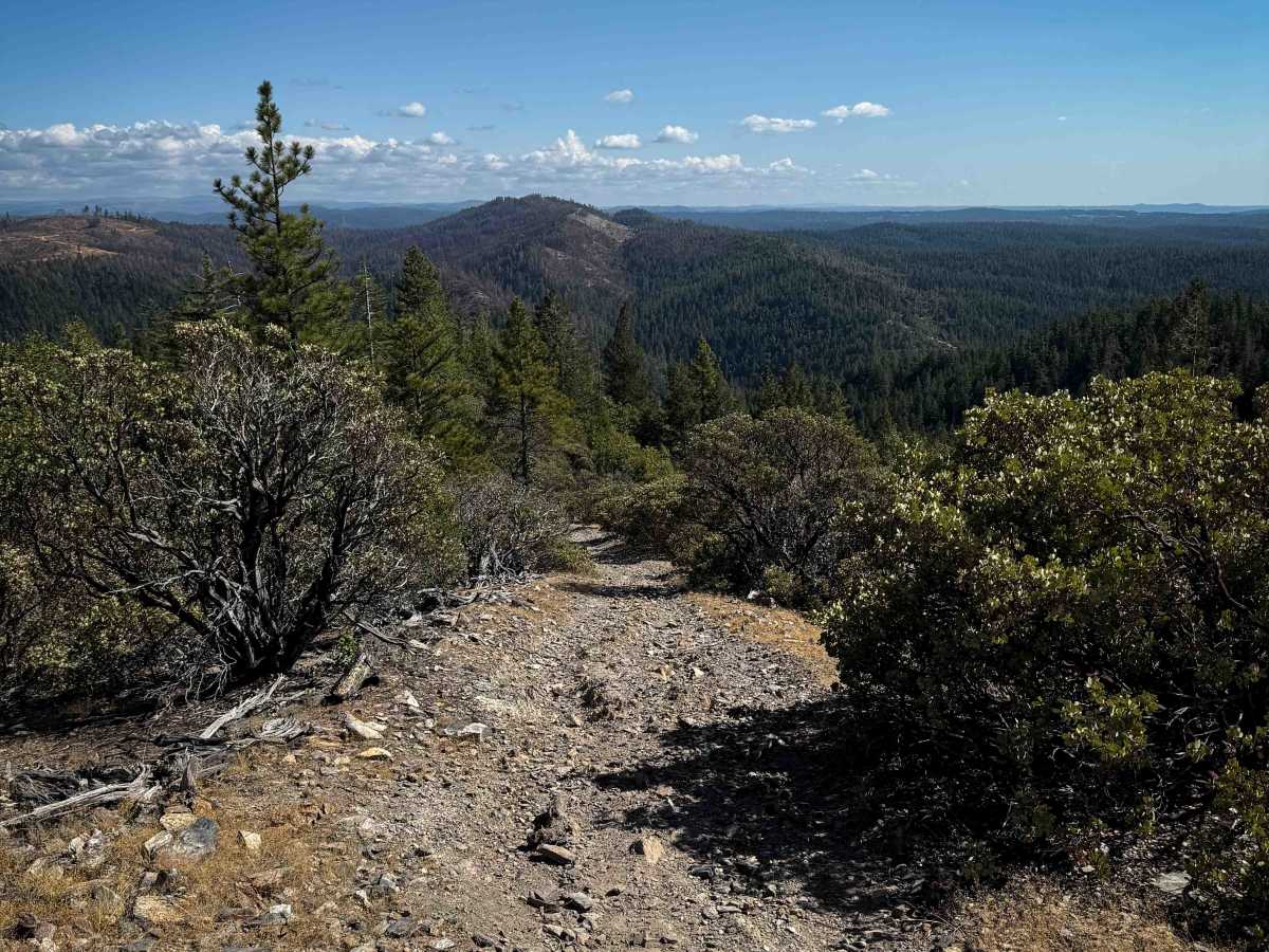 Trail 5-3 (11E54)  photo 4